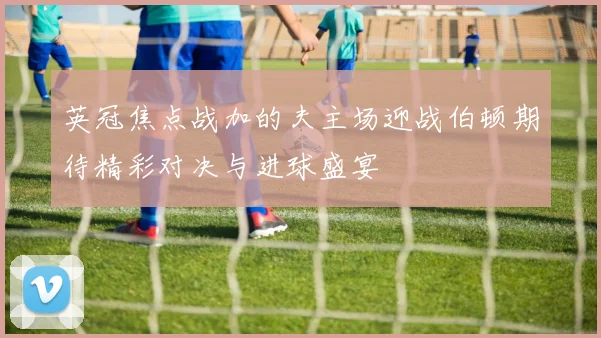 英冠焦点战加的夫主场迎战伯顿期待精彩对决与进球盛宴